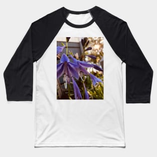 Periwinkle Haze Baseball T-Shirt